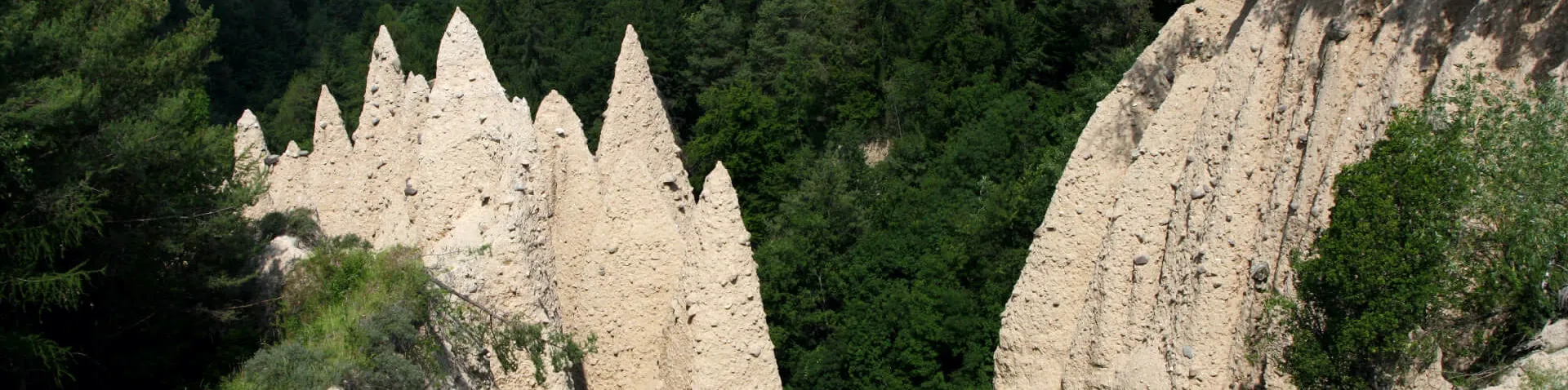 Erdpyramiden in dichtem Wald